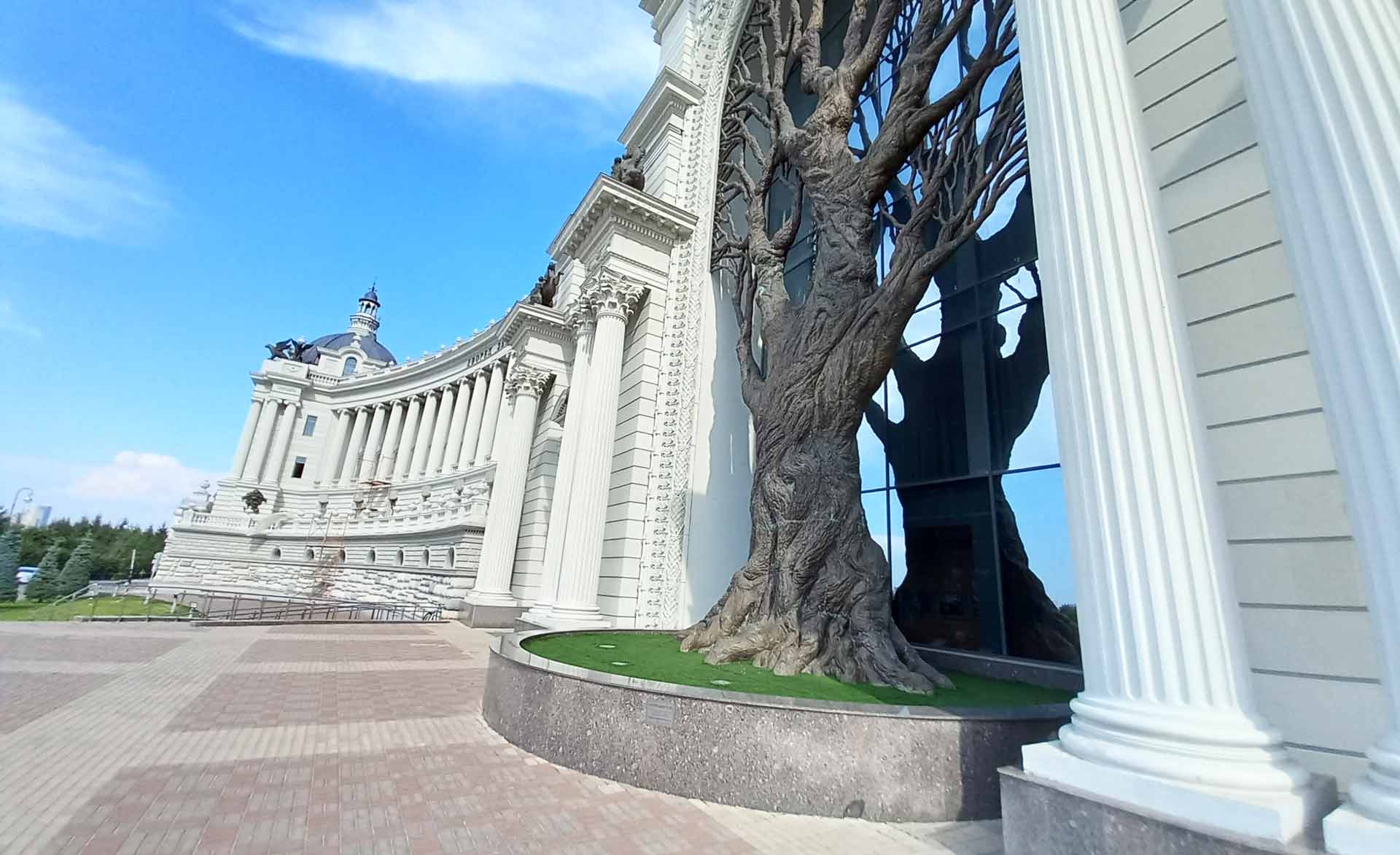 Дерево в Казани в здании перед парков Кремлевской Набережной.